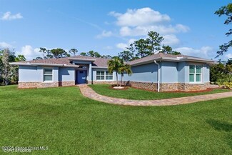 4702 Pepper Point Place, Grant-Valkaria, FL 32949