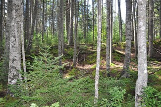 093-D Kingfisher Rd, Bristol, ME 04554