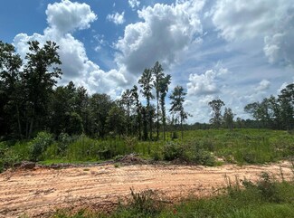 00 S Mill Creek Rd, Purvis, MS 39475
