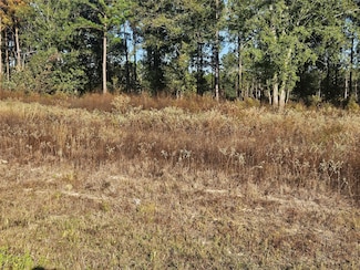 8030 Road 5891, Cleveland, TX 77327