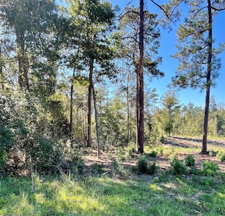 000 County Ln, Moscow, TX 75960