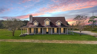 16910 County Line Rd, Winnie, TX 77665