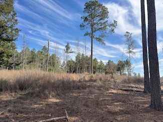 TR 3A Farm To Market Road 752, Alto, TX 75925