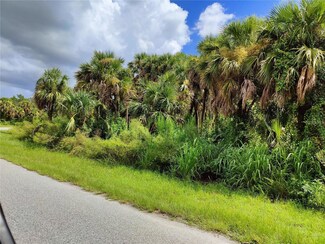 0 Raven St Unit MFRC7499445, North Port, FL 34286