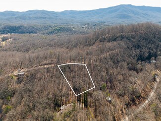 222 S Slope Ln, Old Fort, NC 28762