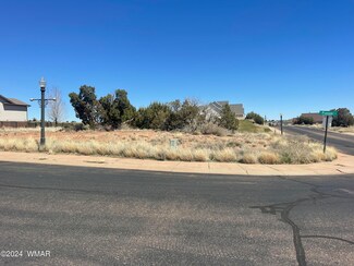 625 S Pioneer Trail, Snowflake, AZ 85937