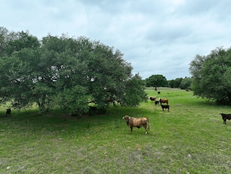 2059 County Road 127, Giddings, TX 78942