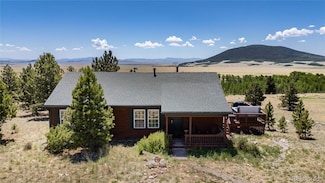 1301 Sheep Ridge Rd, Fairplay, CO 80440