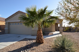 520 S Douglas Wash Rd, Vail, AZ 85641