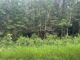 5 AC On. Worsech Rd, Catawba, WI 54515