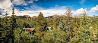 203 Wellington Rd, Breckenridge, CO 80424