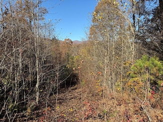 0 Summitt Ridge Trail, Marble, NC 28901