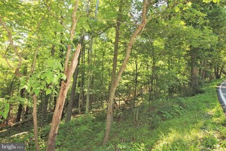 LOT 19 Creek Valley Dr, Basye, VA 22810