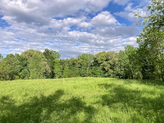 S Mohawk Rd, Midway, TN 37809