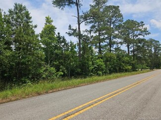 2960 Louisiana 1151, Kinder, LA 70648