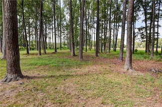 1.75ac Cobham Wharf Rd, Surry, VA 23883