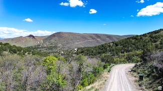 15201 S Shaggy Mountain Rd, Herriman, UT 84096