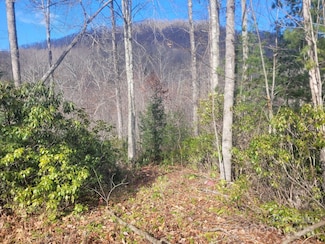 0 Garnet Rd Unit 94 CAR3834601, Sylva, NC 28779