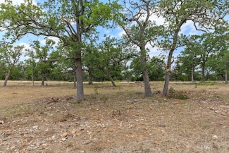 1231 Curtis Ln, Fredericksburg, TX 78624