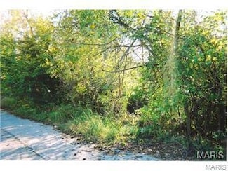 54 Veterans Dr, de Soto, MO 63020