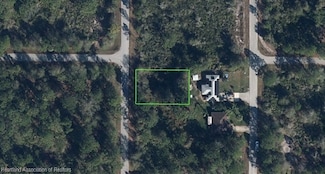 636 Kingfisher Ave NW, Placid Lakes, FL 33852
