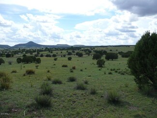 380 E Mail Trail Rd Unit C, Young, AZ 85554