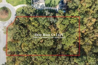 12 Doe Run Ct, Pike Road, AL 36064