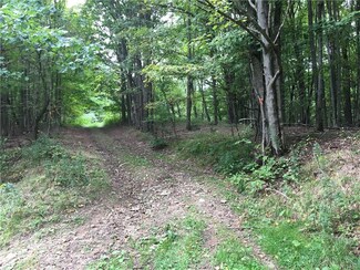 0 VL Roberts Rd, Friendship, NY 14739