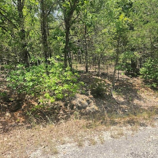 L-61, B-7 Lochloosa Dr, Cherokee Village, AR 72529