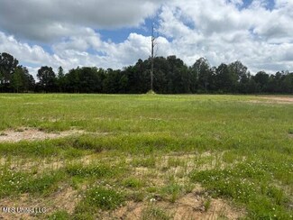 0 Cedar Crest Cove Unit 4113155, Byhalia, MS 38611