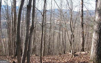 #8 Harris Ridge Rd, Young Harris, GA 30582