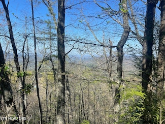 Lot 5 Overholt Trail, Sevierville, TN 37862