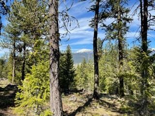 Lot 24 Syringa Dr Unit 24, New Meadows, ID 83654