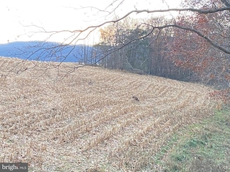 0 Llama Ln, Licking Creek Township, PA 17238