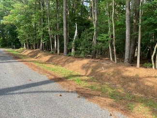 Lot 79 T-1510 Unit 79, MacHipongo, VA 23405