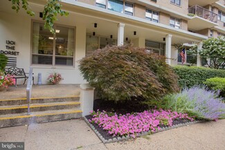 1301 N Harrison St Unit 206, Wilmington, DE 19806