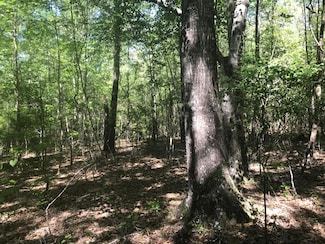 011 R C Thomas Rd, Hattiesburg, MS 39401
