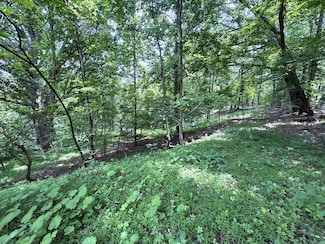 5.74 acres Bailey Cemetery Rd, Tazewell, TN 37879