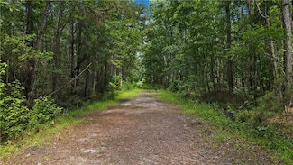 Lot 30 Freedom Trail SW, Townsend, GA 31331