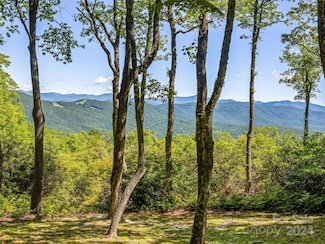 PS 3 Panther Summit Dr, Lake Toxaway, NC 28747