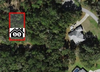 297 W Whitmarsh Ct, Citrus Springs, FL 34434