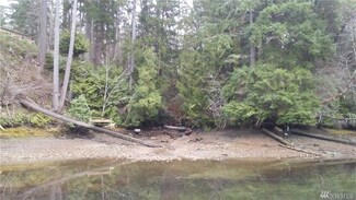 41 Wolf Rd, Quilcene, WA 98376