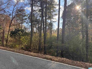 5415 Clay-Palmerdale Rd, Pinson, AL 35126