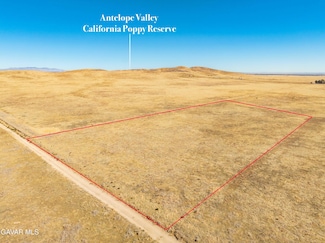 0 Vac 155th St W Vic Aveg4 Unit 25008404, Lancaster, CA 93536