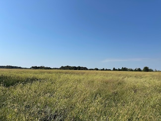 TBD 4 08 Ac Tract2 Cr 404, Fulton, MO 65251