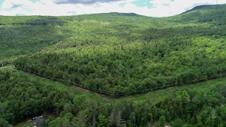 Map 7 Lot 3 Route 120, Mexico, ME 04257
