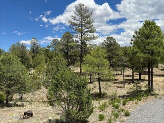 3337 Saw Mill Ridge Loop, Heber-Overgaard, AZ 85928