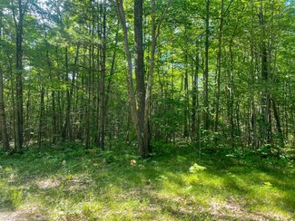 Lot 11 Bald Eagle Cr, Lac Du Flambeau, WI 54538