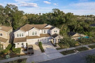 14615 Rocky Brook Dr, Tampa, FL 33625