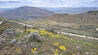 0 Chelan Hills Acres Tract Unit NWM2369770, Orondo, WA 98843